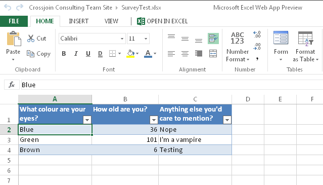 Detail Excel Survey Form Template Nomer 22