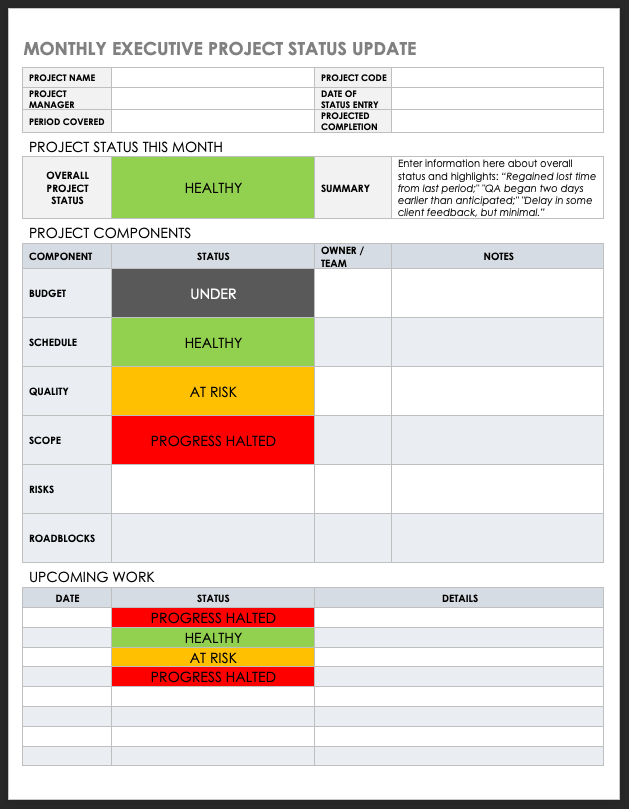 Executive Status Report Template - KibrisPDR