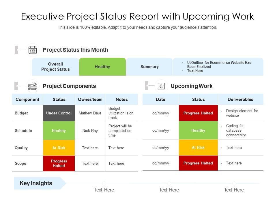 Detail Executive Status Report Template Nomer 2