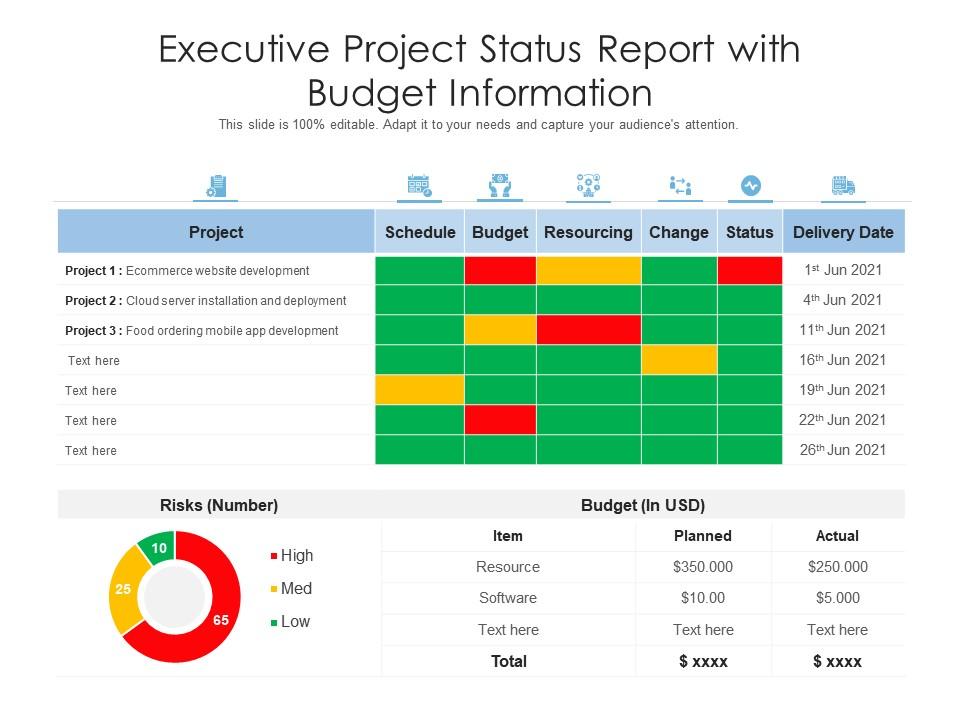 Detail Executive Status Report Template Nomer 11