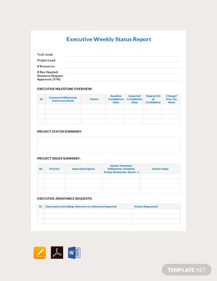 Detail Executive Status Report Template Nomer 34