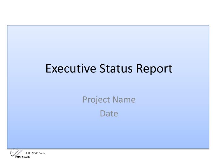 Detail Executive Status Report Template Nomer 55