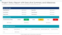 Detail Executive Status Report Template Nomer 10