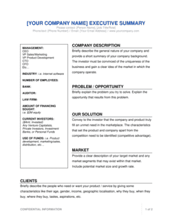Detail Executive Summary Template Nomer 41