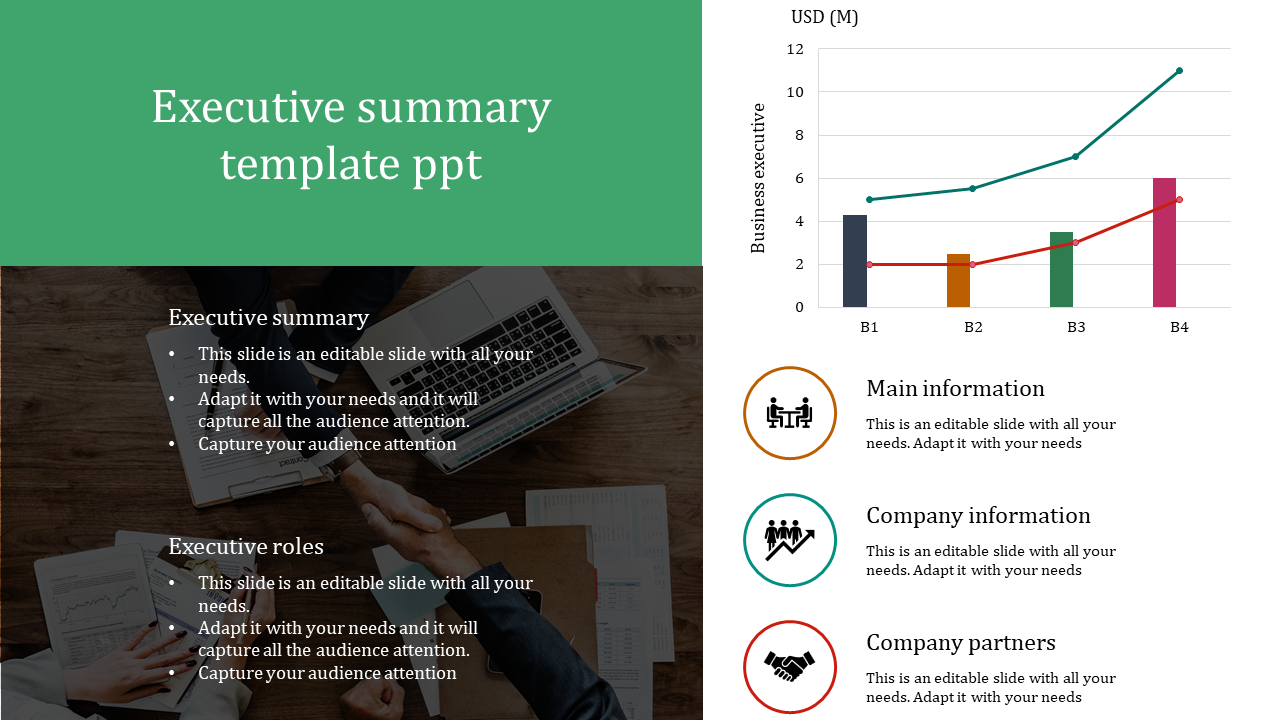 Detail Executive Summary Template Nomer 42