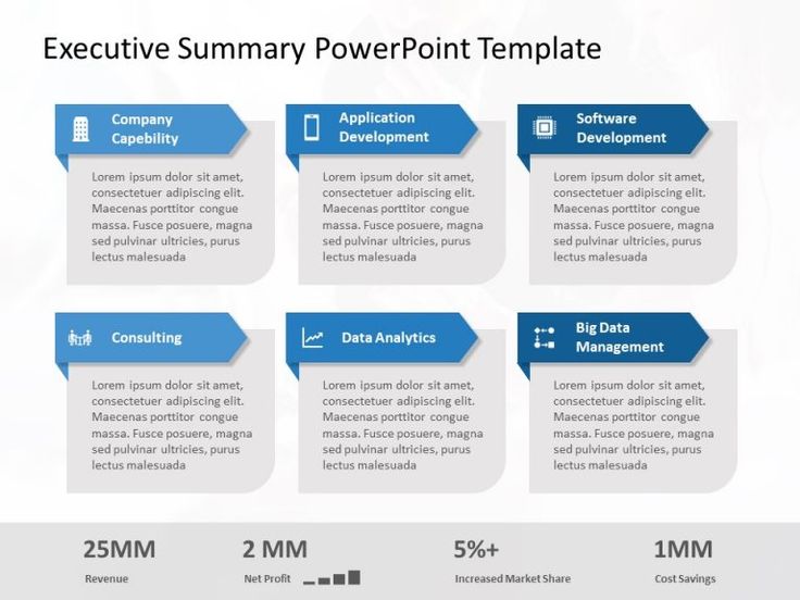 Detail Executive Summary Template Ppt Free Download Nomer 32