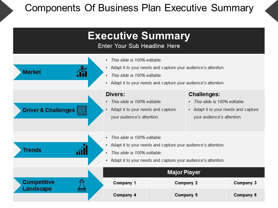 Detail Executive Summary Template Ppt Free Download Nomer 36