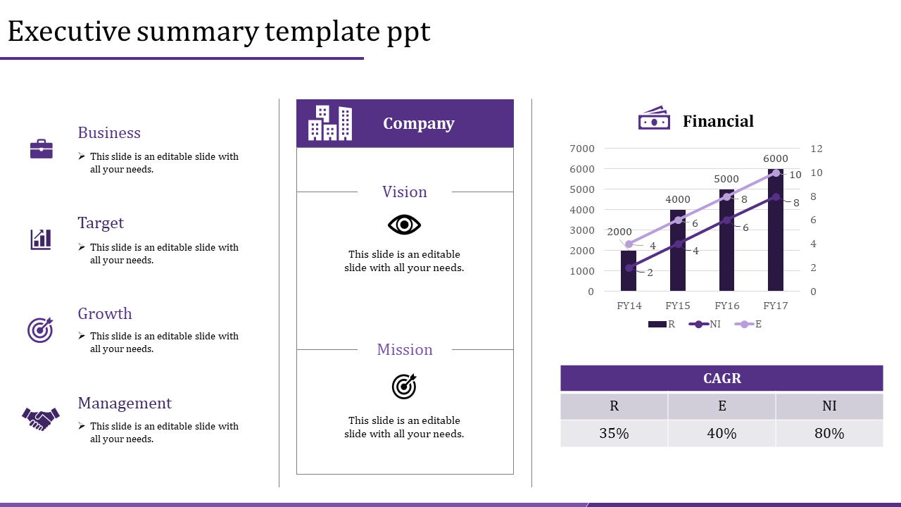 Detail Executive Summary Template Ppt Free Download Nomer 39