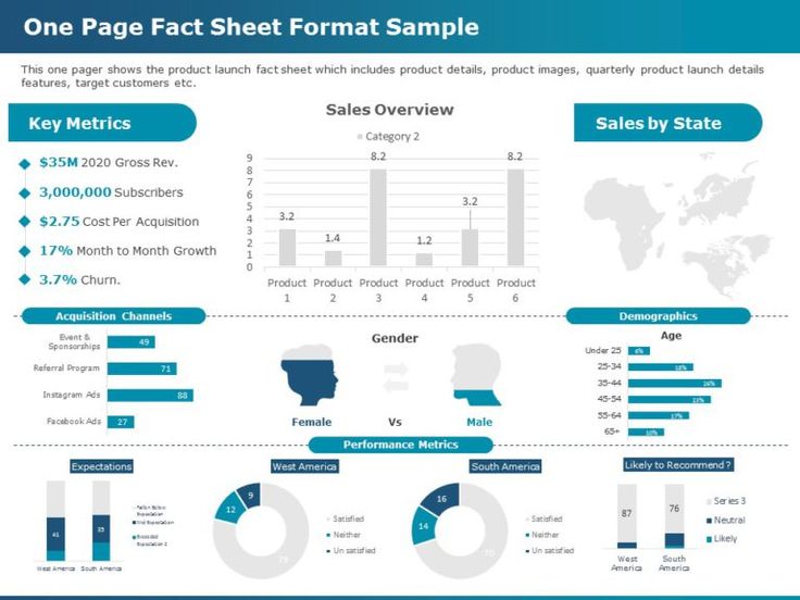 Detail Fact File Template Powerpoint Nomer 45