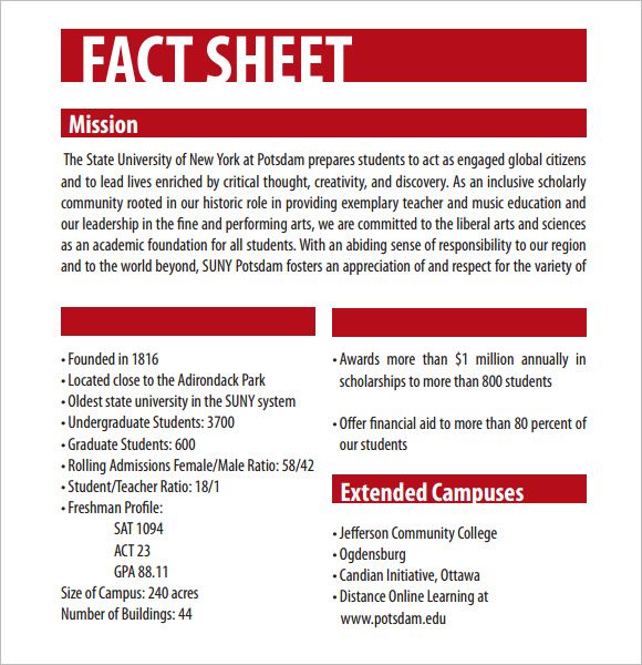 Detail Fact Sheet Template Nomer 28
