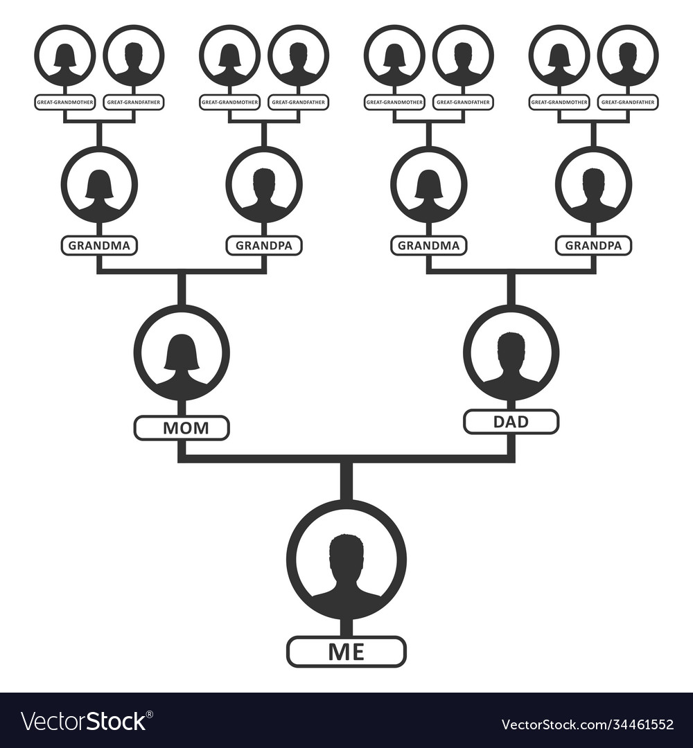 Tree Chart Codepen 