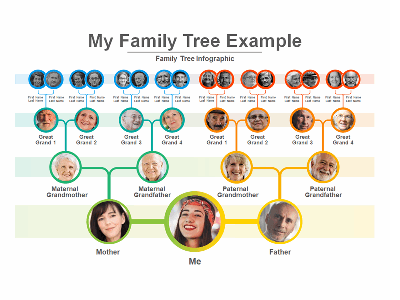 Detail Family Tree Ppt Template Nomer 15