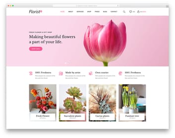 Detail Fashe Colorlib Template Nomer 27