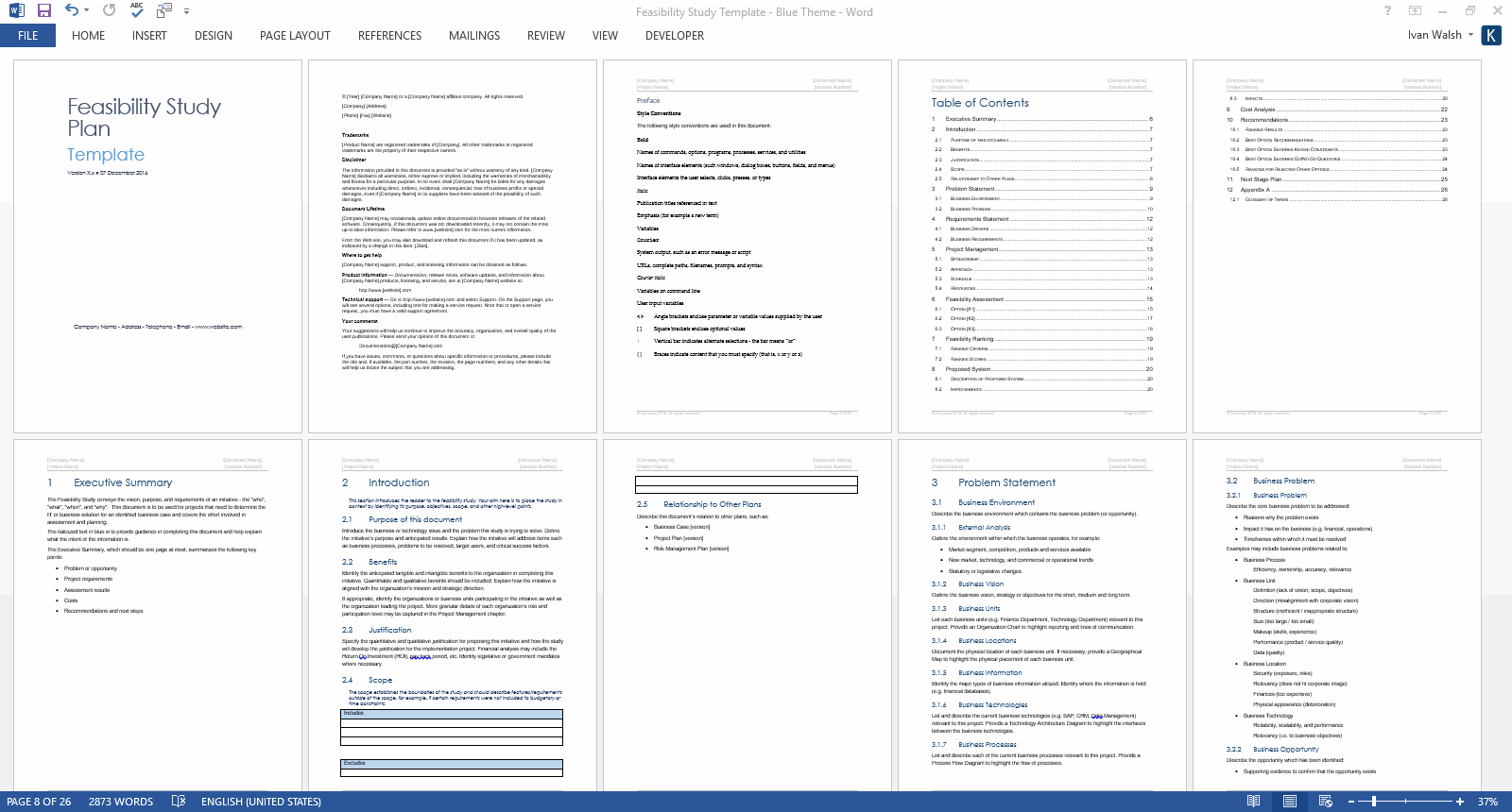 Detail Feasibility Study Template Nomer 18