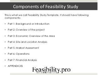 Detail Feasibility Study Template Nomer 50