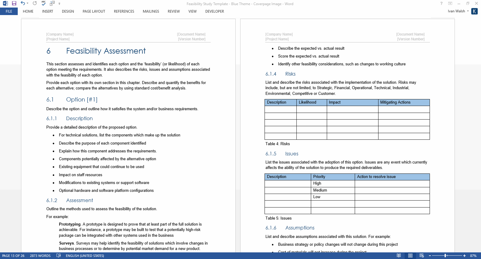 Detail Feasibility Study Template Word Nomer 2