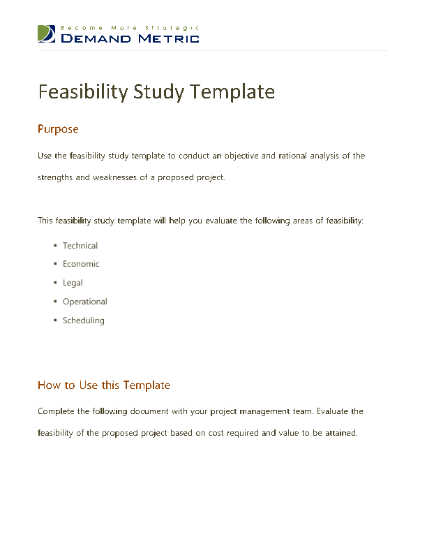 Detail Feasibility Study Template Word Nomer 27