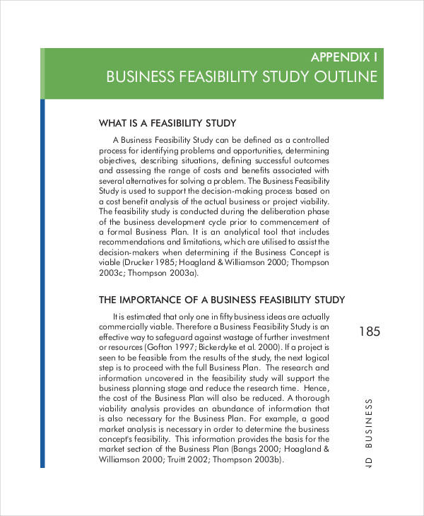 Detail Feasibility Study Template Word Nomer 37