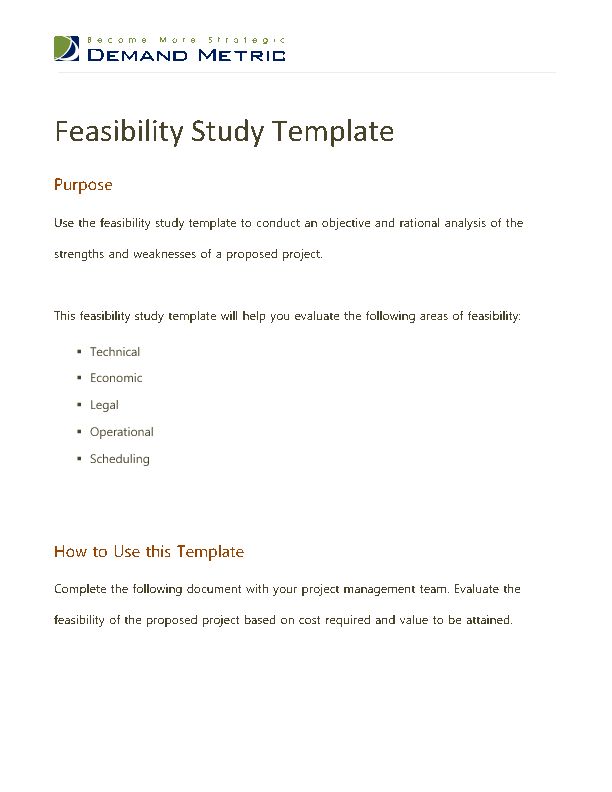 Detail Feasibility Study Template Word Nomer 7