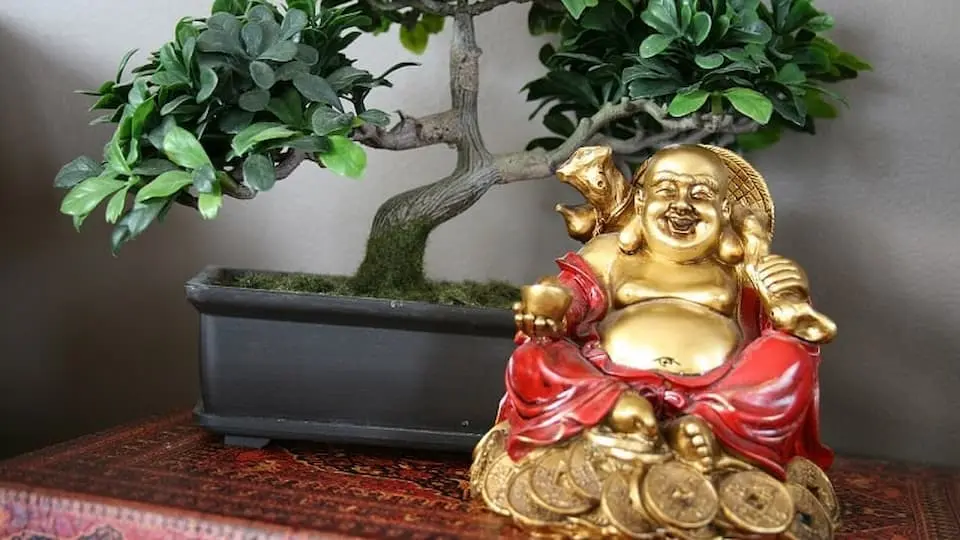 Detail Feng Shui Rumah Nomer 34