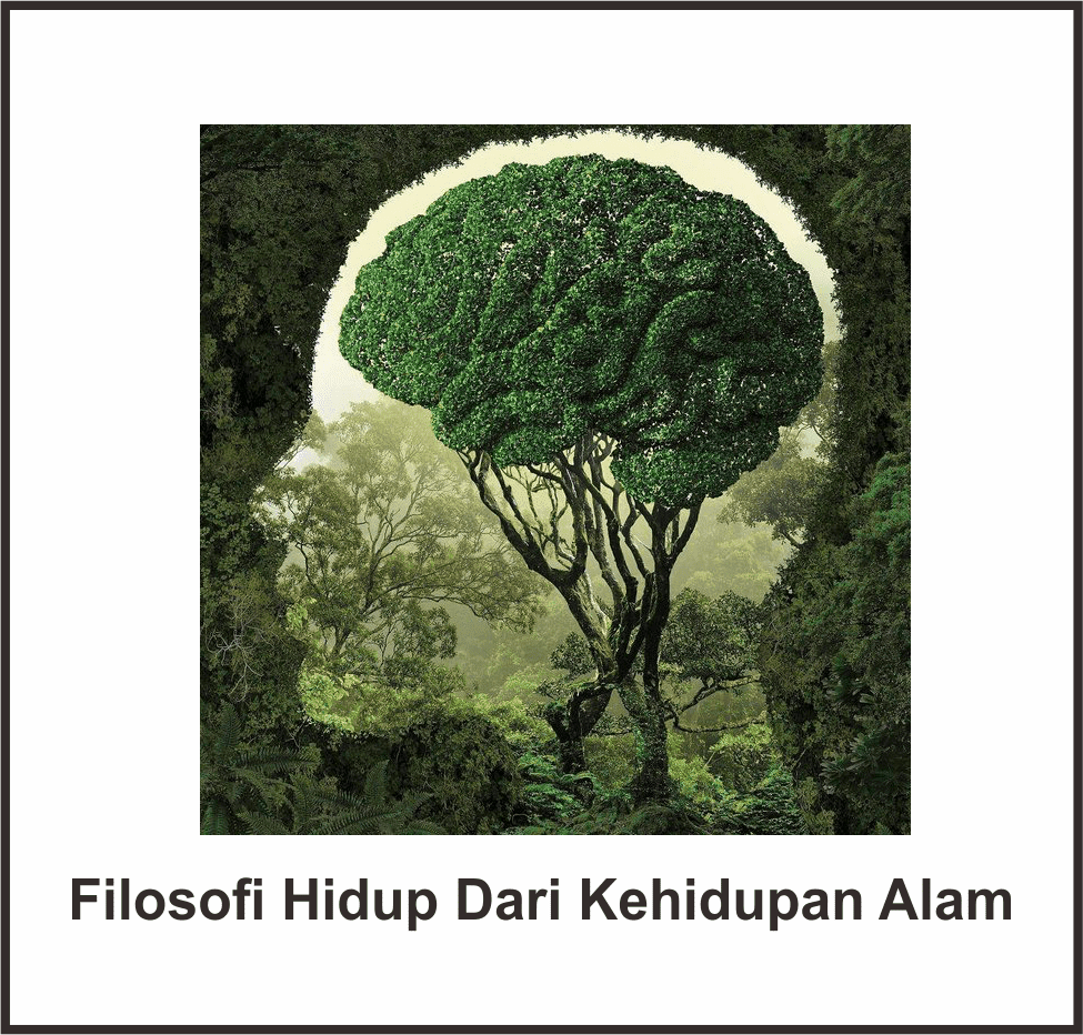 Detail Filosofi Kehidupan Rumah Tangga Nomer 6