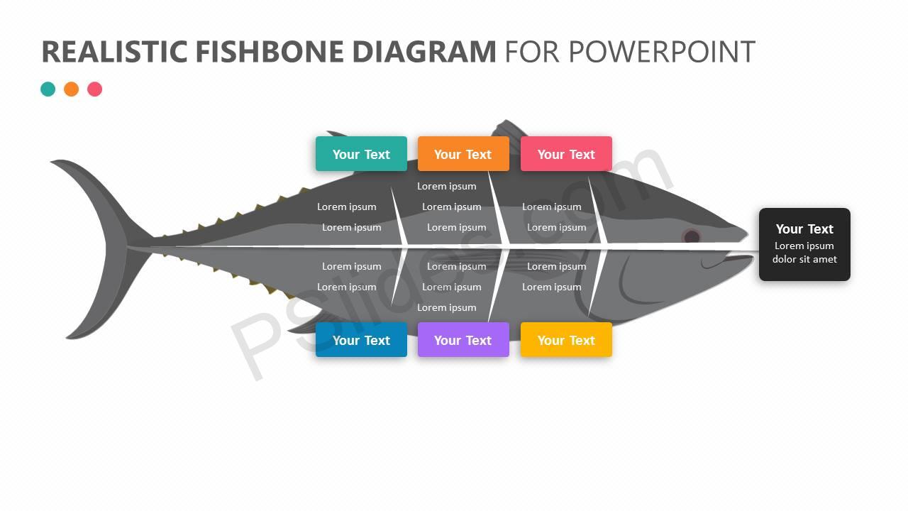 Detail Fishbone Diagram Template Powerpoint Nomer 22