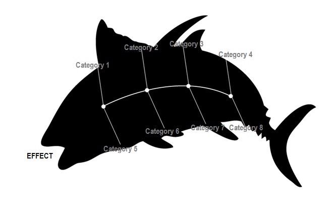 Detail Fishbone Diagram Template Visio Nomer 50