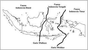 Detail Flora Dan Fauna Asiatis Australis Dan Peralihan Beserta Gambarnya Nomer 26