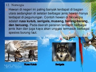 Detail Flora Dan Fauna Di Benua Eropa Beserta Gambar Nomer 13