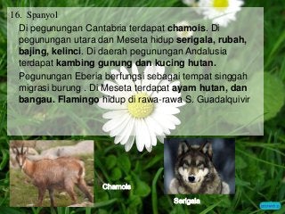 Detail Flora Dan Fauna Di Benua Eropa Beserta Gambar Nomer 9