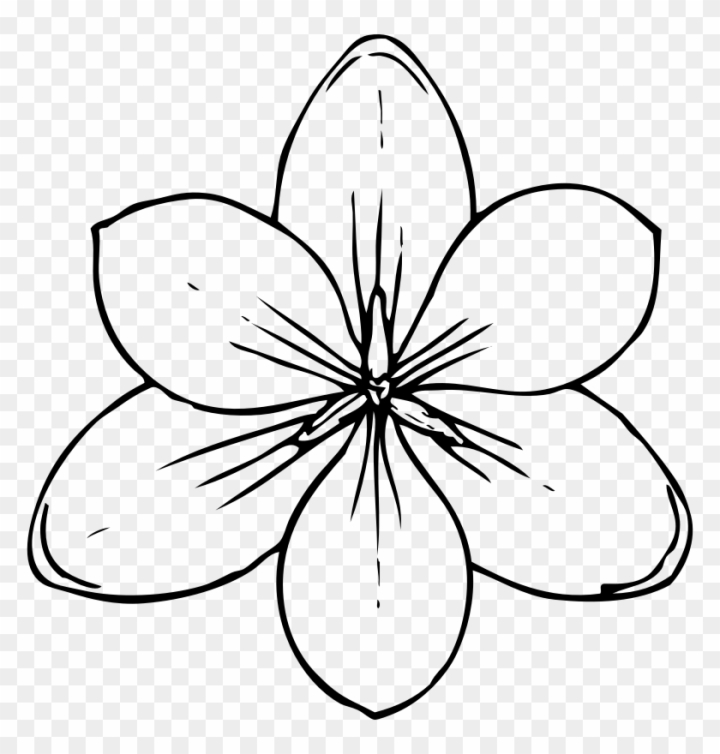 Detail Flower Pattern Template Printable Nomer 30