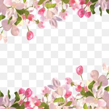 Detail Flowers Background Png Download Nomer 17