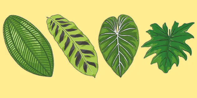Detail Forest Leaf Template Nomer 14