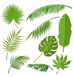 Detail Forest Leaf Template Nomer 19