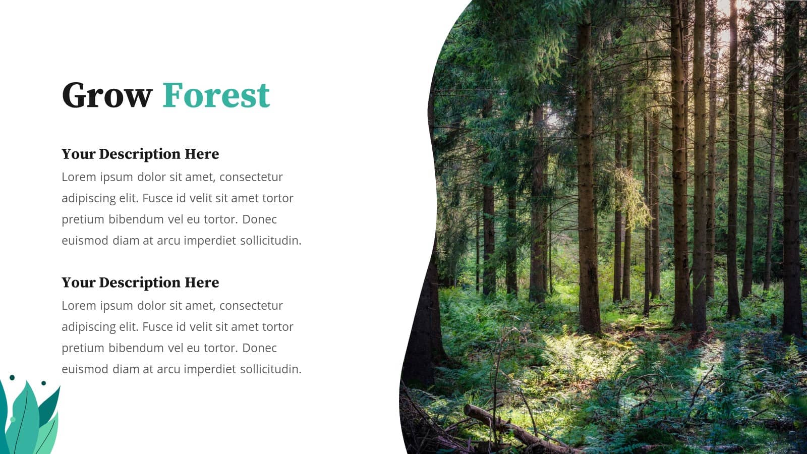 Detail Forest Powerpoint Template Nomer 11