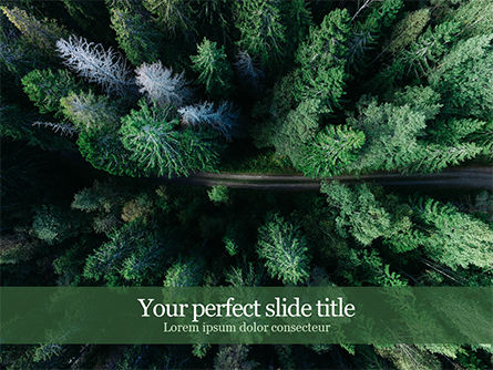 Detail Forest Powerpoint Template Nomer 14