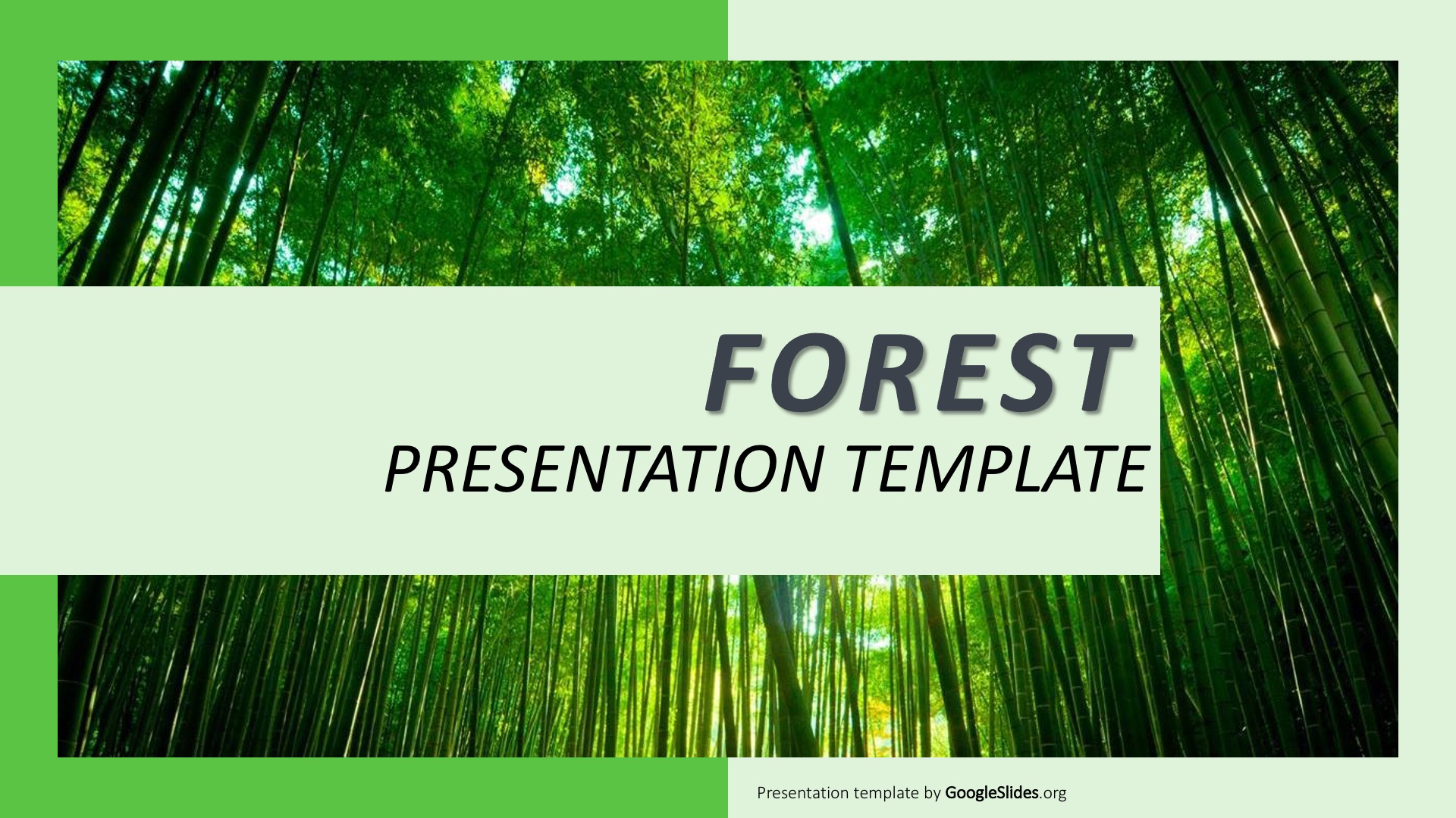 Detail Forest Powerpoint Template Nomer 23