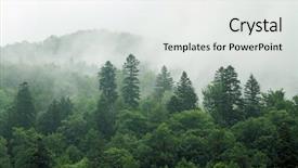 Detail Forest Powerpoint Template Nomer 28