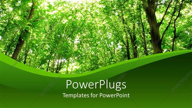 Detail Forest Powerpoint Template Nomer 42