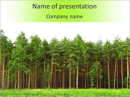 Detail Forest Powerpoint Template Nomer 47