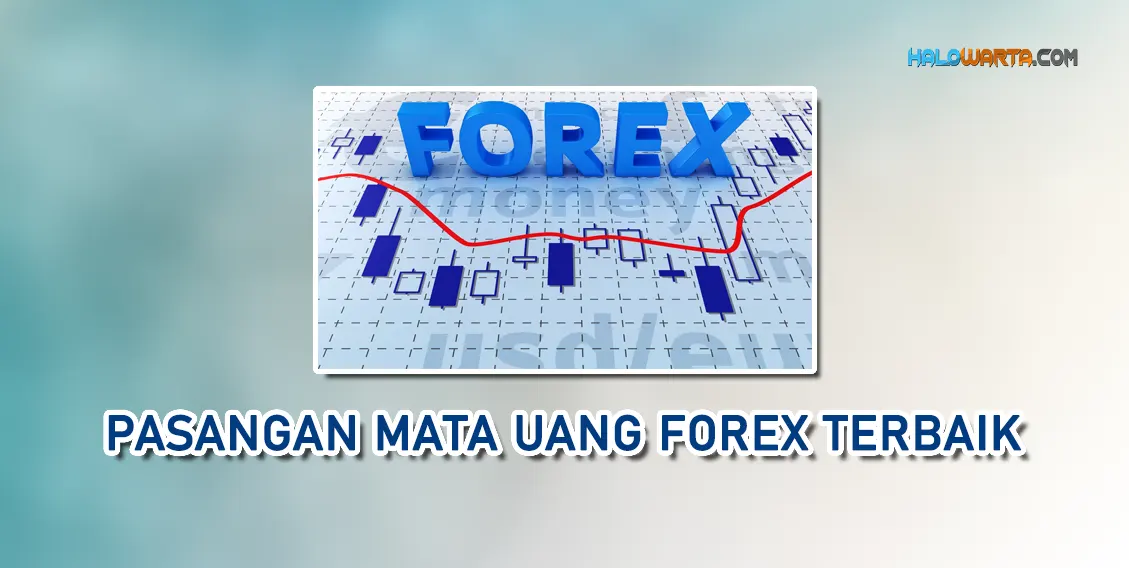 Detail Forex Identik Dengan Gambar Apa Nomer 24