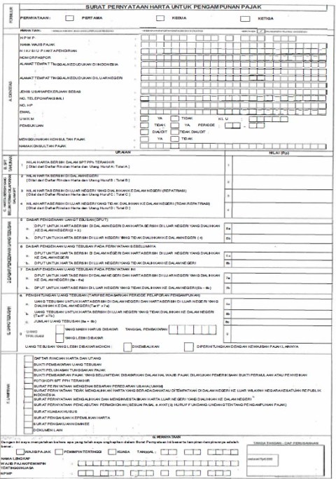 Detail Formulir Surat Pernyataan Harta Untuk Pengampunan Pajak Nomer 10