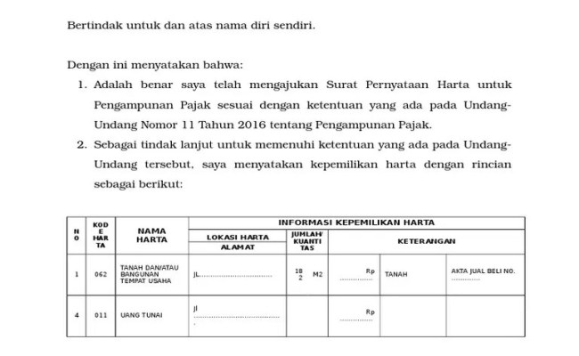 Detail Formulir Surat Pernyataan Harta Untuk Pengampunan Pajak Nomer 17