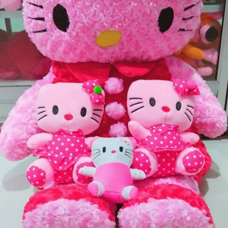 Detail Foto Boneka Hello Kitty Nomer 51