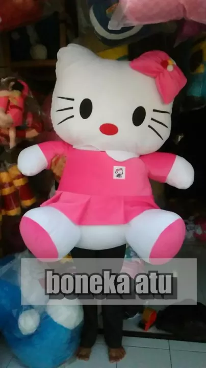 Detail Foto Boneka Hello Kity Nomer 14