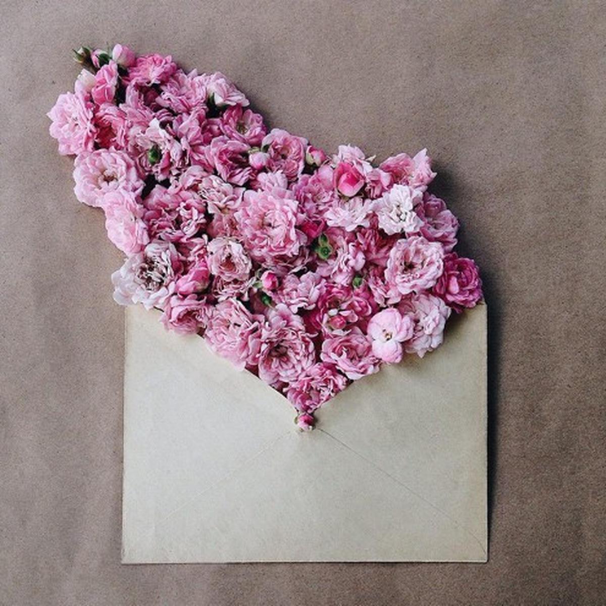 Detail Foto Bunga Keren Untuk Instagram Nomer 5