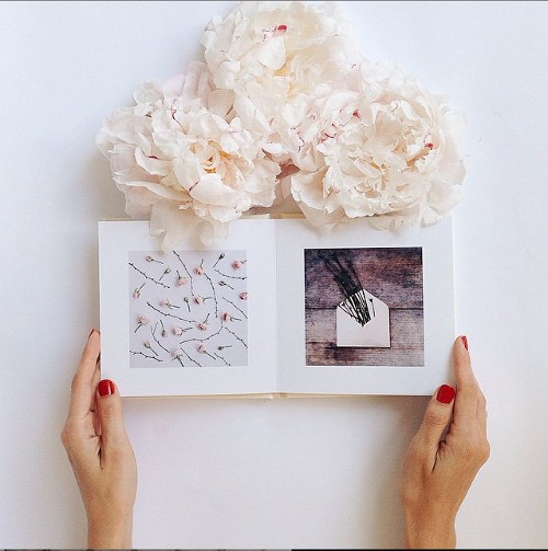 Detail Foto Bunga Keren Untuk Instagram Nomer 36
