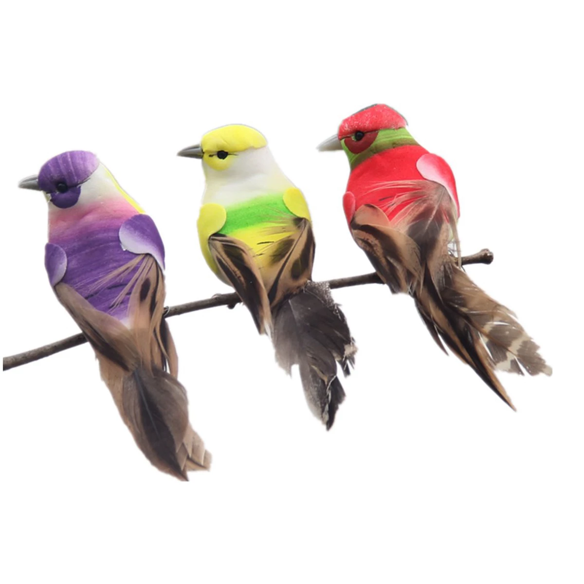 Detail Foto Burung Manusia Nomer 31