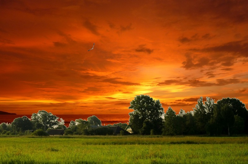 Detail Foto Edit Online Nomer 25