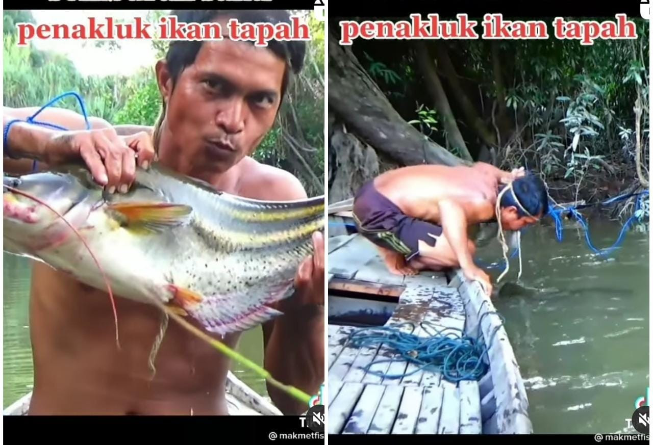 Detail Foto Ikan Tapa Nomer 31